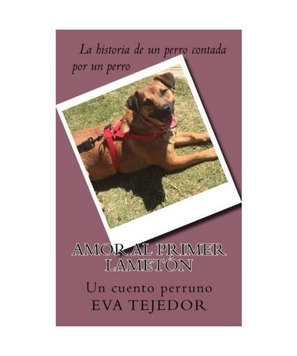 Amor primer lameton un - amor,