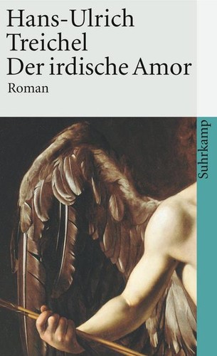 Der irdische amor roman - irdische, amor: