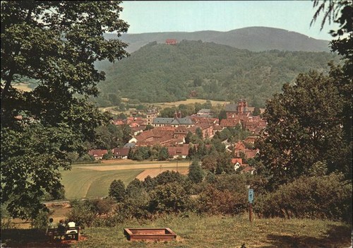 Amorbach miltenberg panorama - amorbach,